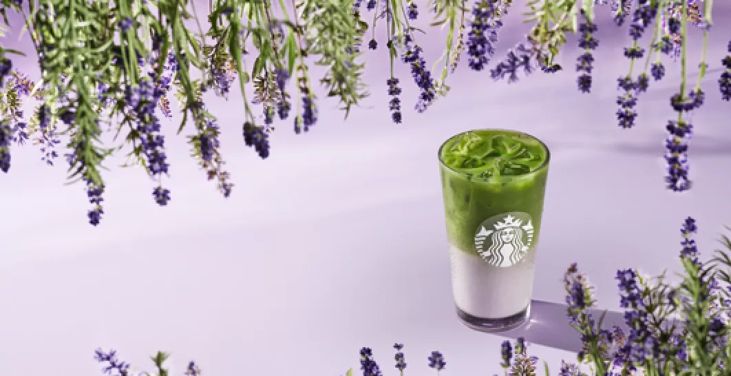 Bebidas Spring