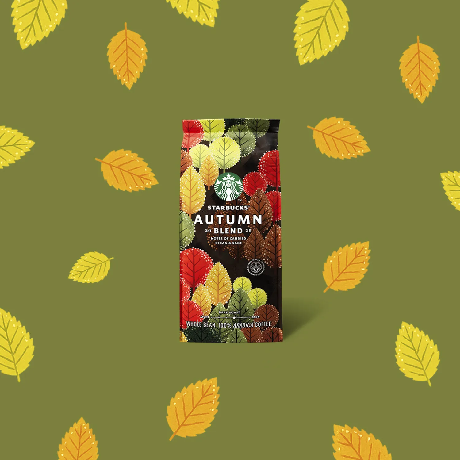 Autum Blend: O café do Outono